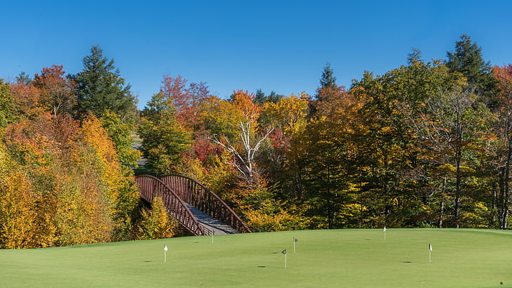 Vermont, Stowe, musim gugur, dedaunan, musim gugur, Amerika, warna-warni