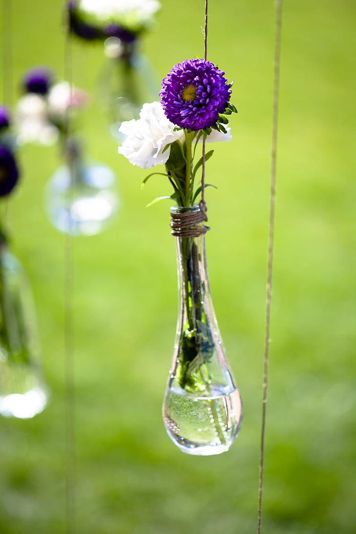 fiore, vaso, floreale, bouquet, decorazione, bianco, natura