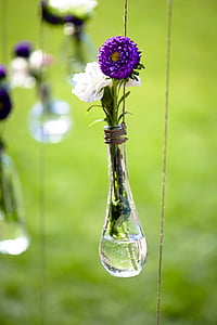 Blume, Vase, Floral, Blumenstrauß, Dekoration, weiß, Natur