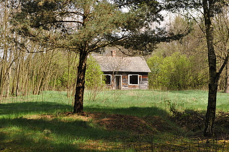 house, crash, abandoned, old house, cottage, farmhouse, residential building