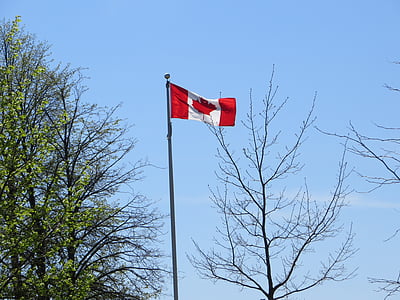 drapeau canadien, drapeau du Canada, Canada