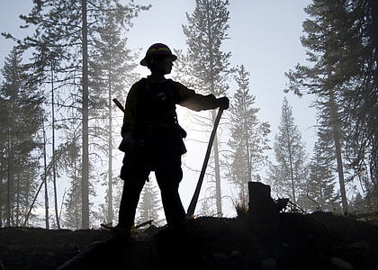 forest, trees, woods, person, silhouette, standing, firefighter