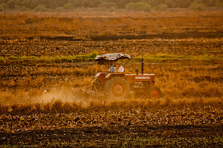 traktor, farmár, pole, poľnohospodárstvo, plodín, úroda, vidieka