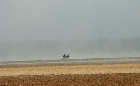 biciclete, câmpuri, ceata, peisaj, câmp, dimineaţa devreme, toamna