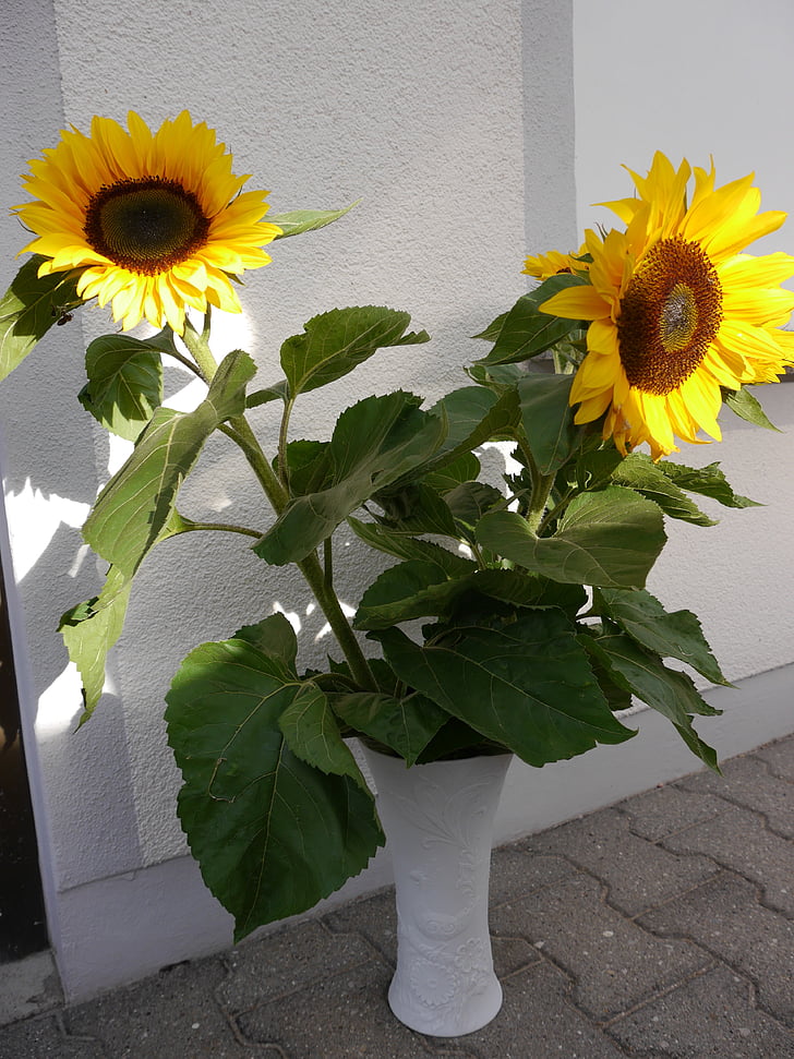 слънчоглед, слънце, букет от цветя
