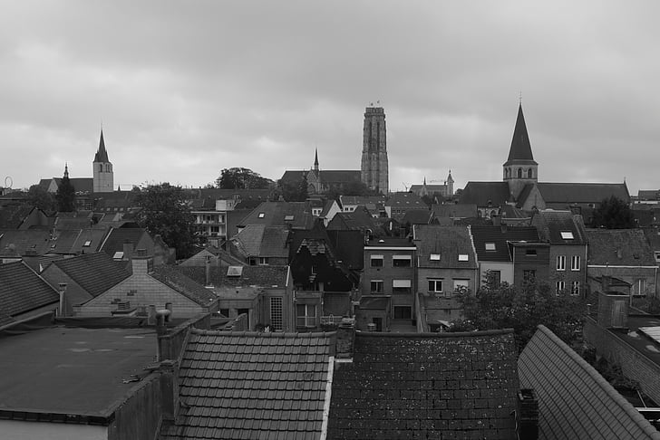 città, Mechelen, edifici, architettura, Torri, tetti, Panorama