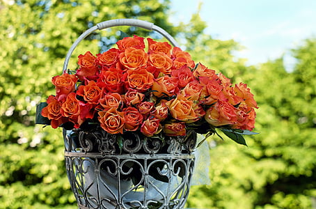 Rosas, ramo de rosas, flor, floración, naranja, Romance, cesta de rosa