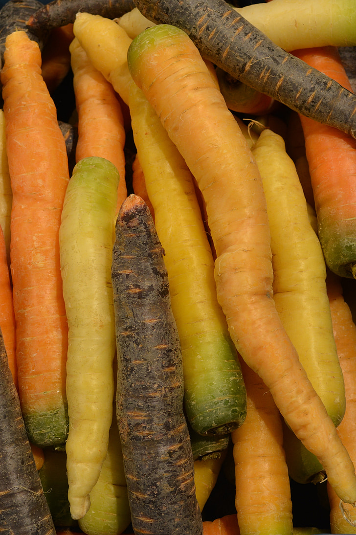 моркови, зеленчуци, корени, захранване, хранителни елементи