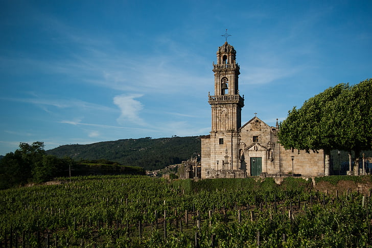 Vineyard, viiniköynnöksen, Ribeiro, Galicia, Ourense