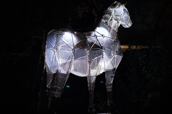 ló, állat, éjszaka, fény, éjszakai, lámpa