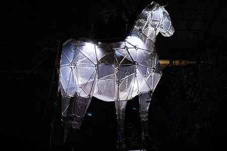 cheval, animal, nuit, lumière, vue de nuit, lanterne