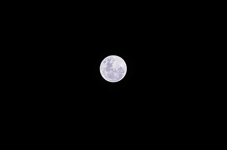 completo, Luna, noche, naturaleza, cielo, noche, zoom