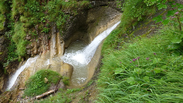 allgäu, tobel, torrent, waterfall, forest, grass