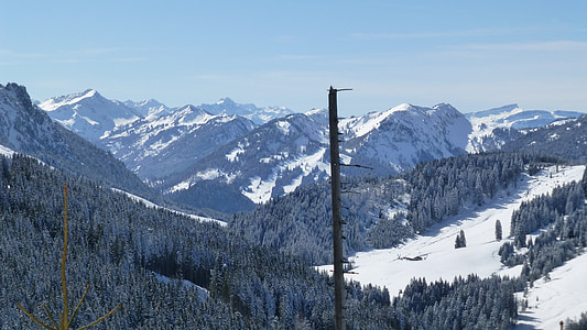Allgäu, Inverno, montanhas, sol, árvores, Panorama, thilima3d alta