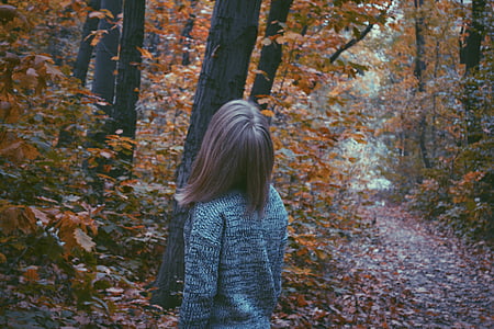 jeseni, padec, gozd, dekle, listi, na prostem, pot