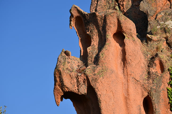 Rock formları, erozyon, taş, kuş, Corsica, Akbaba, Yırtıcı Kuş