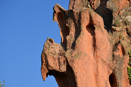 rock forms, erosion, stone, bird, corsica, vulture, bird of prey