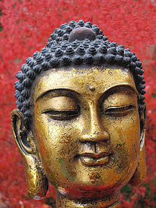 Sidarta gautama, Buda, cabeça, religião, transcendência, Budismo, reencarnação