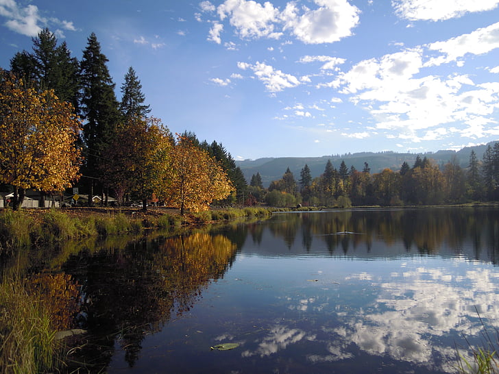 lake, autumn leaves, fall, nature, lyons oregon, reflection