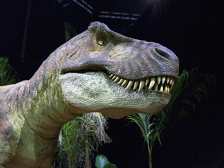 динозавр, Trex, t-rex, тиранозавр Рекс, Дино, Рептилия, юрского периода