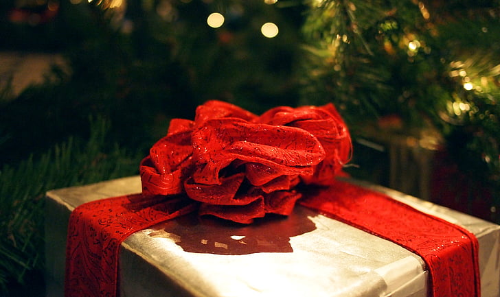 close, photo, red, brown, present, gift, bow