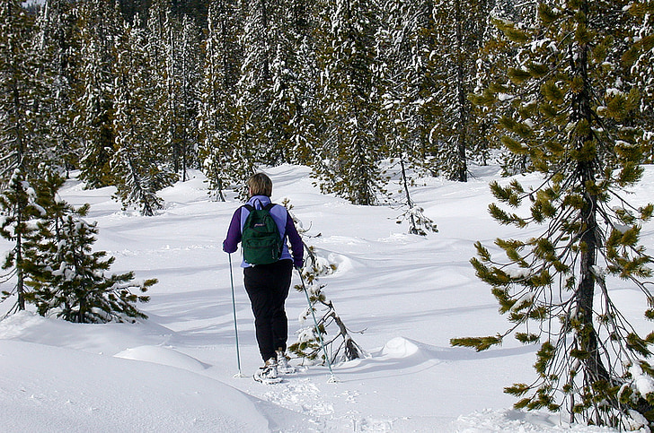 snow shoeing, cross country, snow, winter, national forest, trail, wilderness