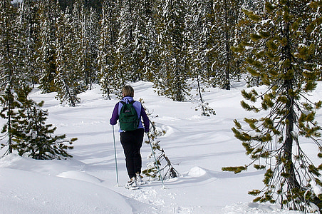 racchette da neve, sci di fondo, neve, inverno, foresta nazionale di, sentiero, Wilderness