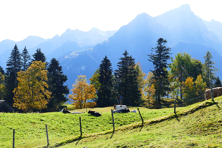 Höstens mood, bergen, hösten, Alpin, landskap, naturen, träd