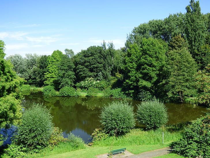 lake, pond, water, bank, rest, green, nature