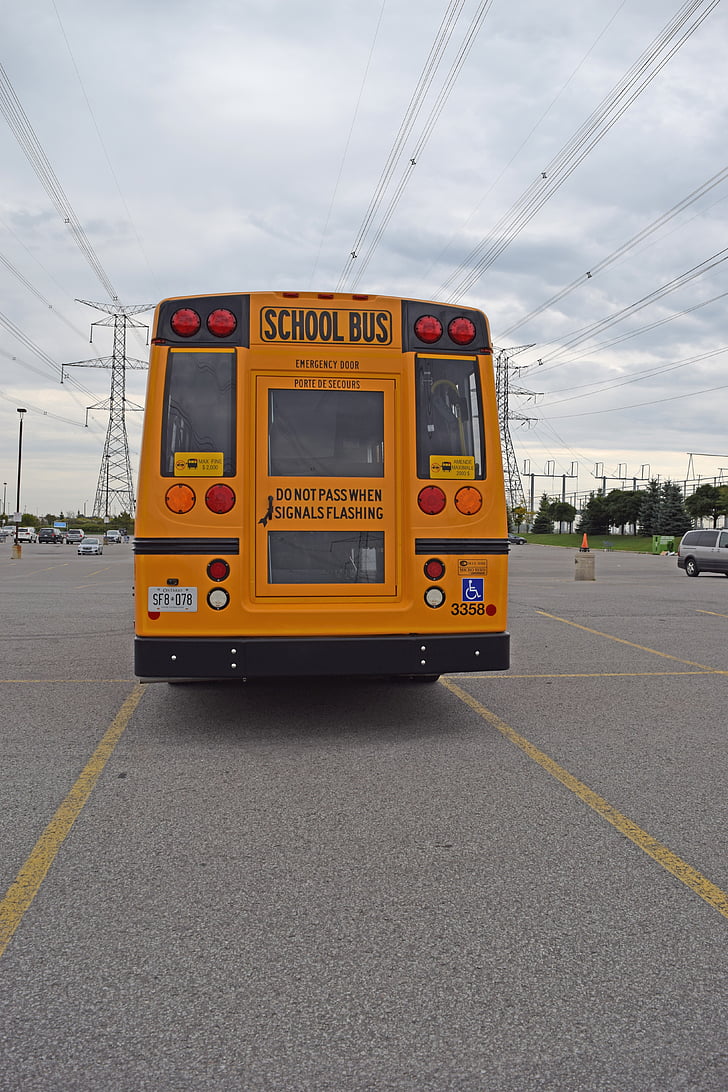 mokyklinis autobusas, atgal, oranžinė, mokyklos, autobusų, švietimo, transportas
