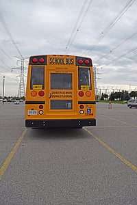 school bus, back, orange, school, bus, education, transportation