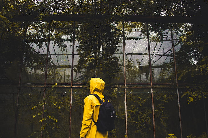 yellow, raincoat, standing, front, glass, garden, people