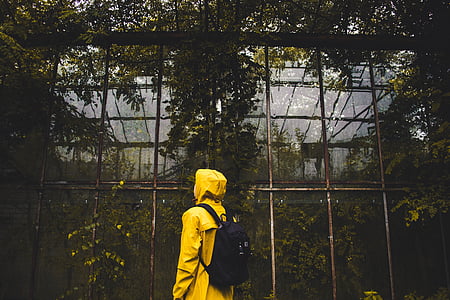 gul, regnrock, stående, framsidan, glas, trädgård, personer