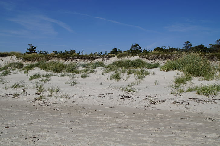 Dune, sipina krajine, trave, morje, Ocean, Baltskega morja, jezero