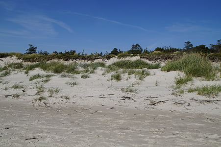 dune, paysage de dunes, graminées, mer, océan, mer Baltique, Lac