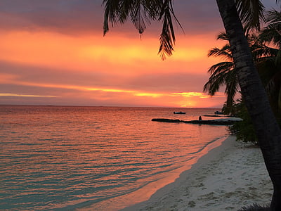 sunset, palm trees, evening sky, afterglow, mood, beach, sea