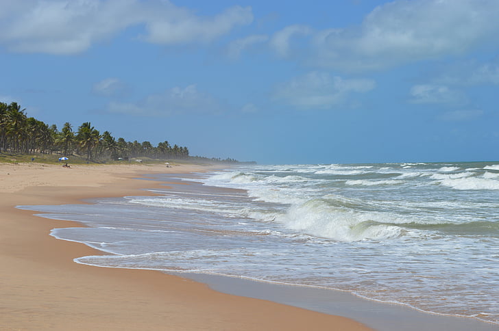 imbassaí Beach, Mar, Beira mar, Beach, aurinkoinen