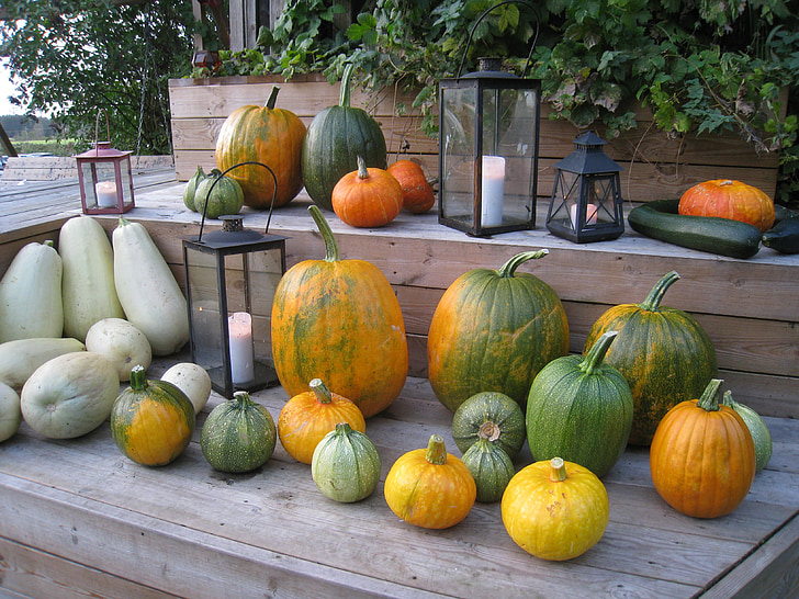 pumpkins, arrangement, colors, autumn, lamps, light, step