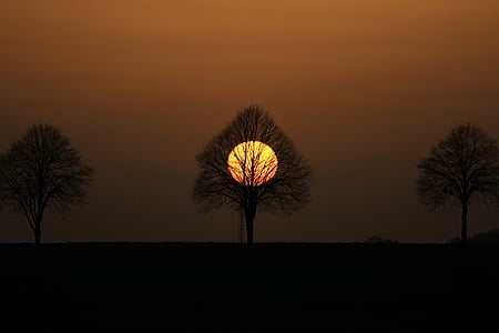 drzewo, Abendstimmung, zachodzące słońce, wieczorne niebo