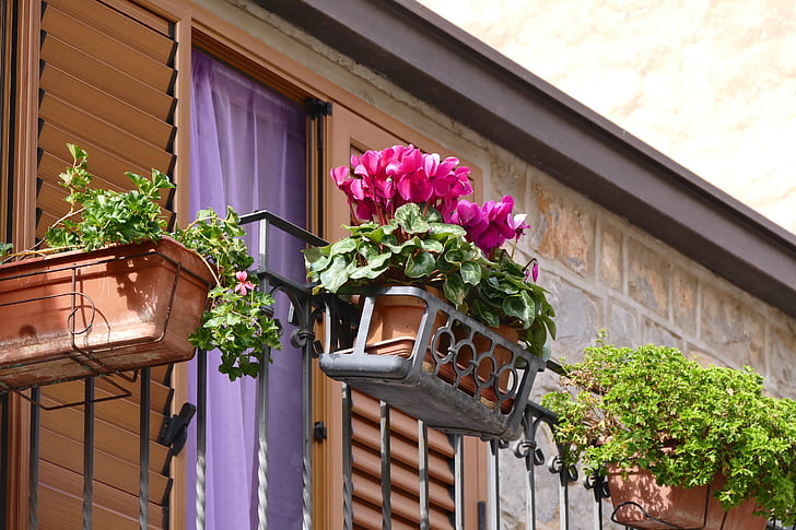 balkons, ziedi, puķu kastes, balkona augu, puķu kaste, Itālija, Terase ziedi