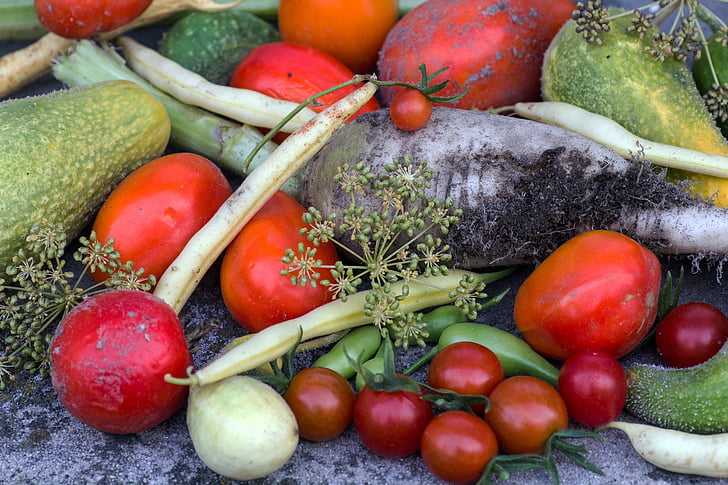 grönsaker, gurkor, tomater, trädgård bean, vegetabiliska, tomat, mat