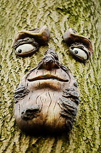 face, tree, trunk, wood, wooden, nature, art