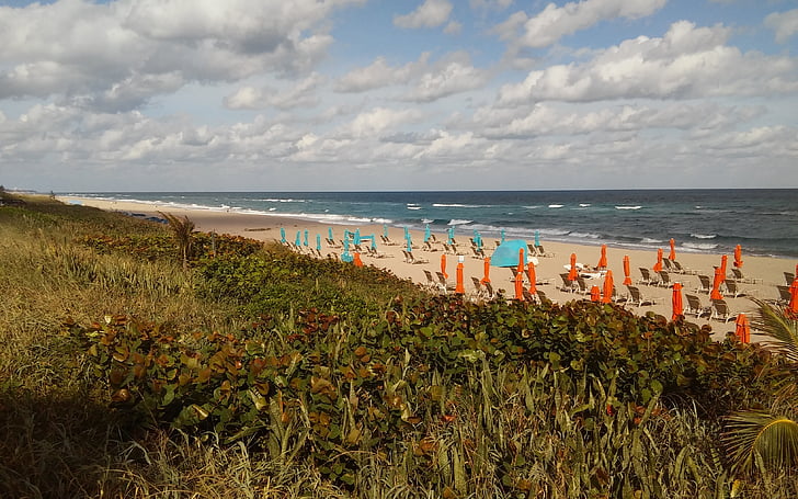 strand, Atlantische, Florida, palm beach, strand parasols