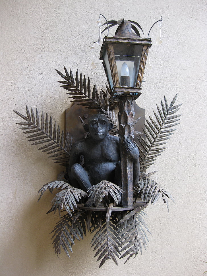 macaco, lâmpada, äffchen, animal