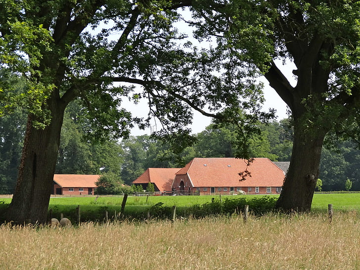 twickel, estate, farm, manor, buildings, historic, homestead