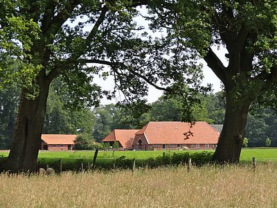 Twickel, Estate, Farm, Manor, rakennukset, historiallinen, Homestead