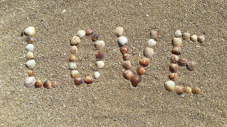 mexilhões, areia, amor, conchas na areia, mar, natureza, harmonia