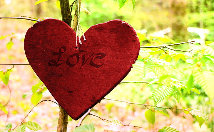 wooden heart, heart, symbol, love, romance, nature, heart shape