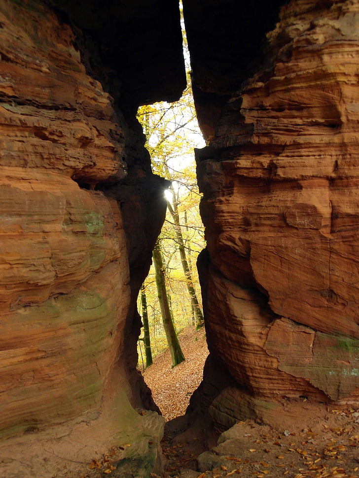 sandstone rocks, sand stone, erosion, by looking, autumn, emerge, forest