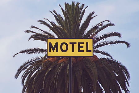 Motel, stromy, budova, zriadenie, Izby, reklamné pútače, palmy
